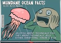 Amazing ocean facts