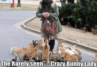 Crazy bunny lady