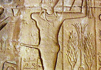 Amun Ra