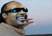 Stevie Wonder