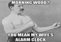 Morning wood