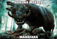 Hakuna matata