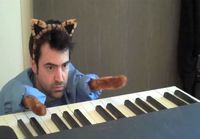 Keyboard cat