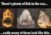 Plenty of fish in the sea