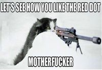 Snipercat