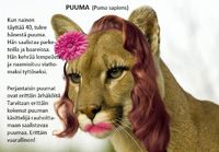 Puuma