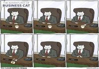 Business cat