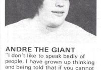 Andre the giant