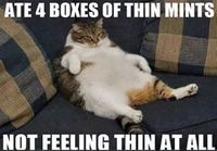 Thin mints