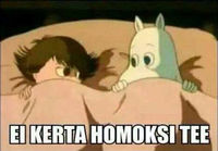 Ei kerta homoksi tee