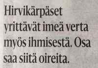 Hirvikärpäsille oireita