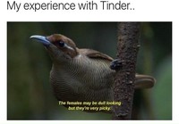 Tinder kokemukset