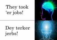 They took our jobs