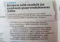 Koiran lymypaikka parvekkeen alla