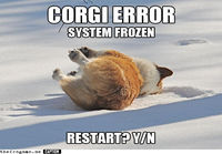 Corgi error