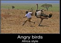 Angry Birds