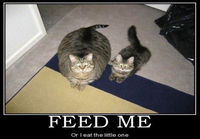 Feed me!