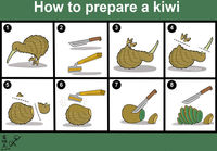 How to prepare a Kiwi