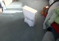 Ninja cat paperbag backflip