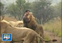 Lion whisperer