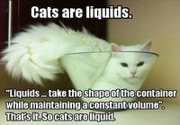 Cats are liquids