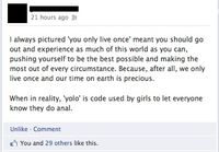 Yolo explained