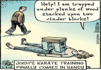 Josh´s karate training finally comes handy