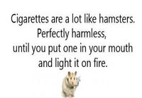 Cigarettes are a lot like hamsters