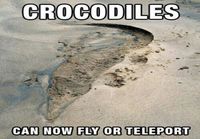 Crocodiles