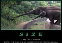 Size does matter