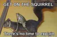 Get on the squirrel