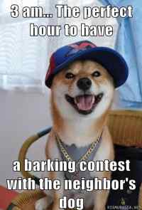 Scumbag dog