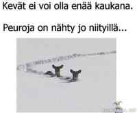 Varma kevään merkki! - Peuroja niityllä