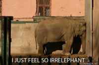 irrelephant elephant