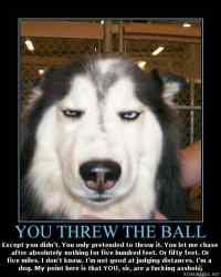 You threw the ball