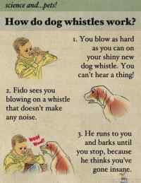 How dog whisltes work?