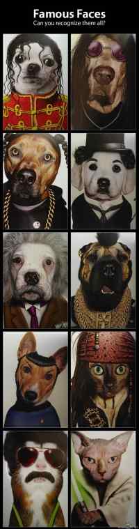 Celebrity pets