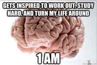 Scumbag brain