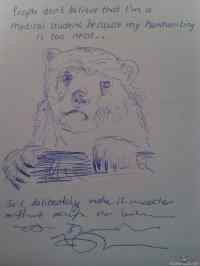 Confession bear - medical student