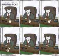 Business cat