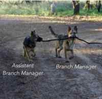 Branch managers