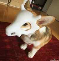 Cubone cosplay