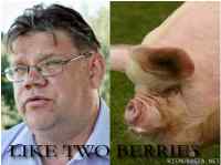 Like two berries. - Timo Soini and a porker