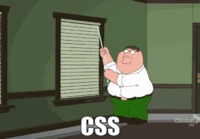 CSS