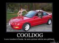 Cooldog