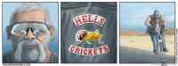 Hells Crickets - Helvetin heinäsirkat