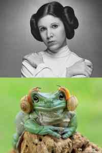 Princess Leia - Lookalike