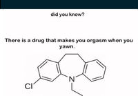 Did you know?