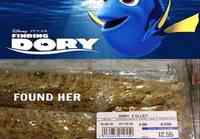 Finding Dory