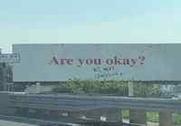 Are you ok?